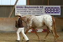 21-ApHC HMC_136